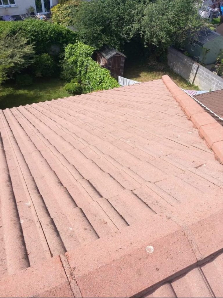 roof cleaning