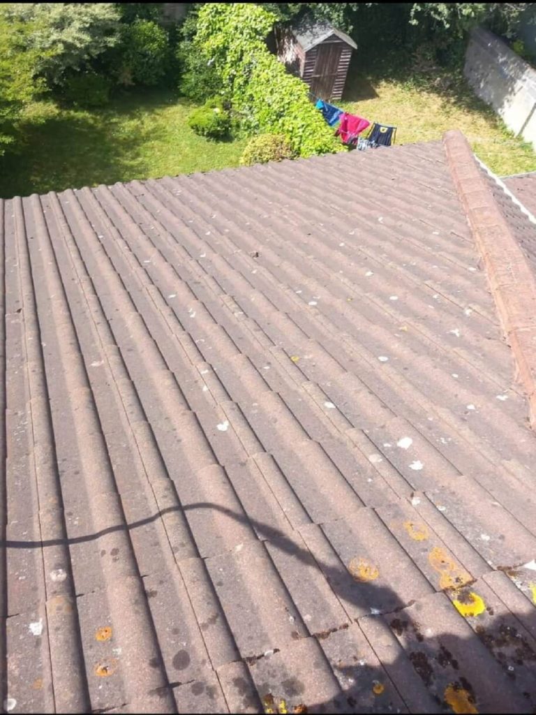 roof cleaning