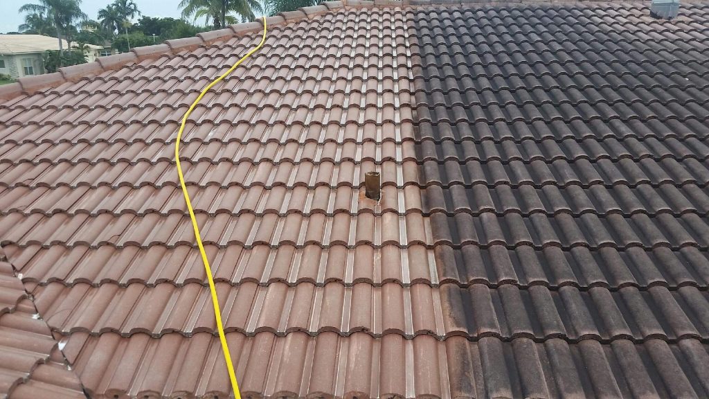 Roof Cleaning & Repairs