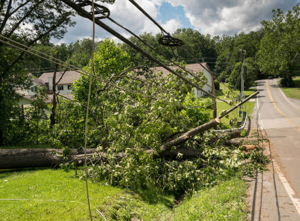 Emergency Storm Cleanup