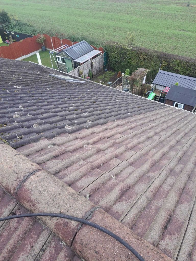 Roof Cleaning