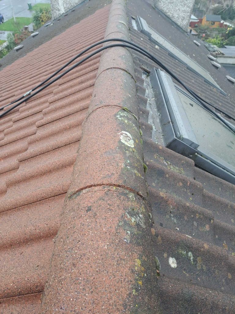 Roof Cleaning