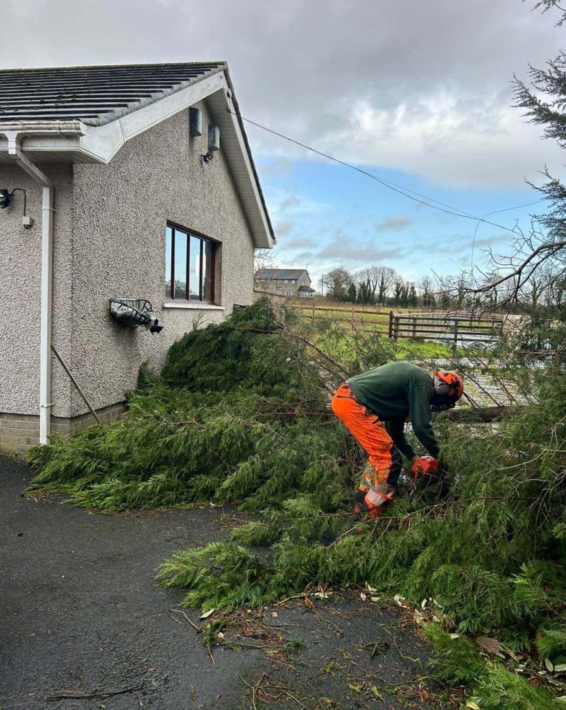 Emergency Storm Cleanup