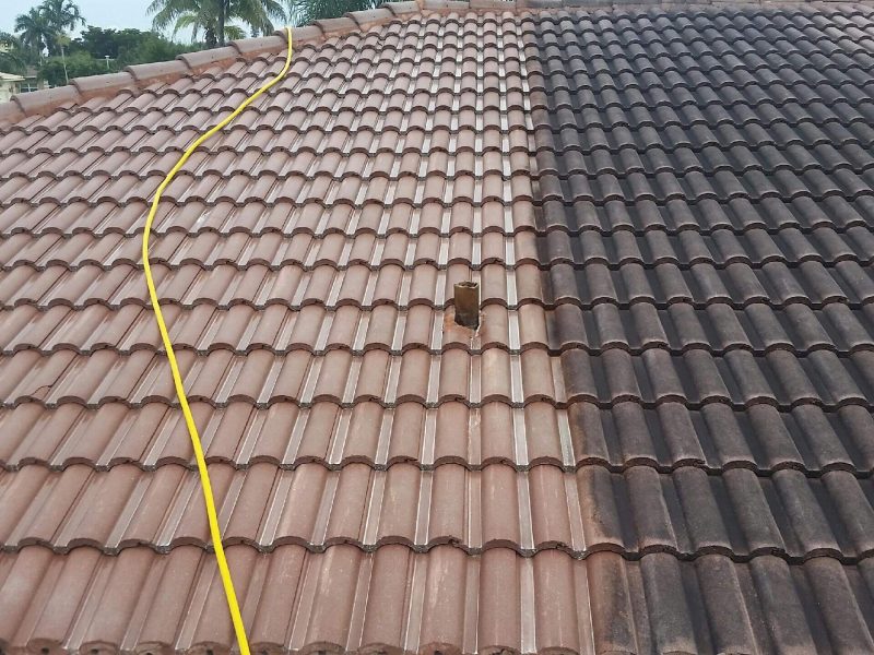 Roof Cleaning & Repairs