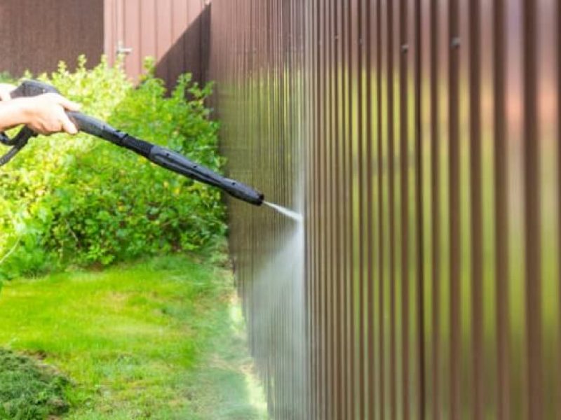 Wall & Fencing Cleaning